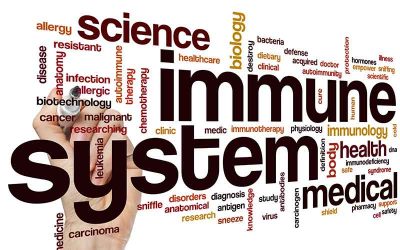 Immune Support