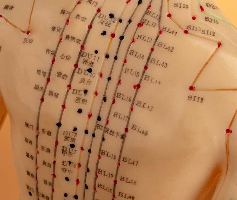Traditional Chinese Medicine & COVID-19
