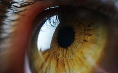 Acupuncture for Eye Health
