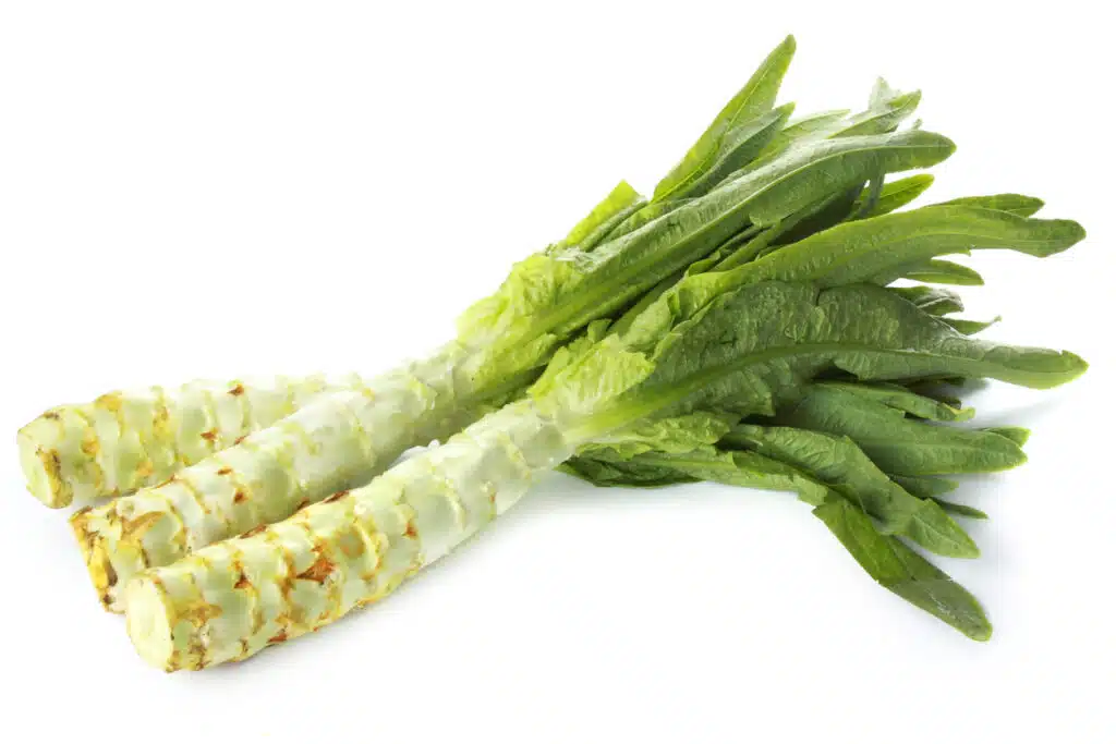 spring Asparagus lettuce