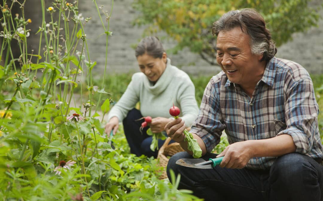 Spring and Health: A Traditional Chinese Medicine Perspective on Five Vegetables Ideal for Spring Consumption
