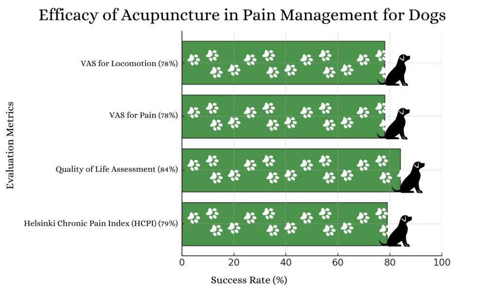 Acupuncture's Proven Success in Pain Management for Pets | ACA Acupuncture and Wellness