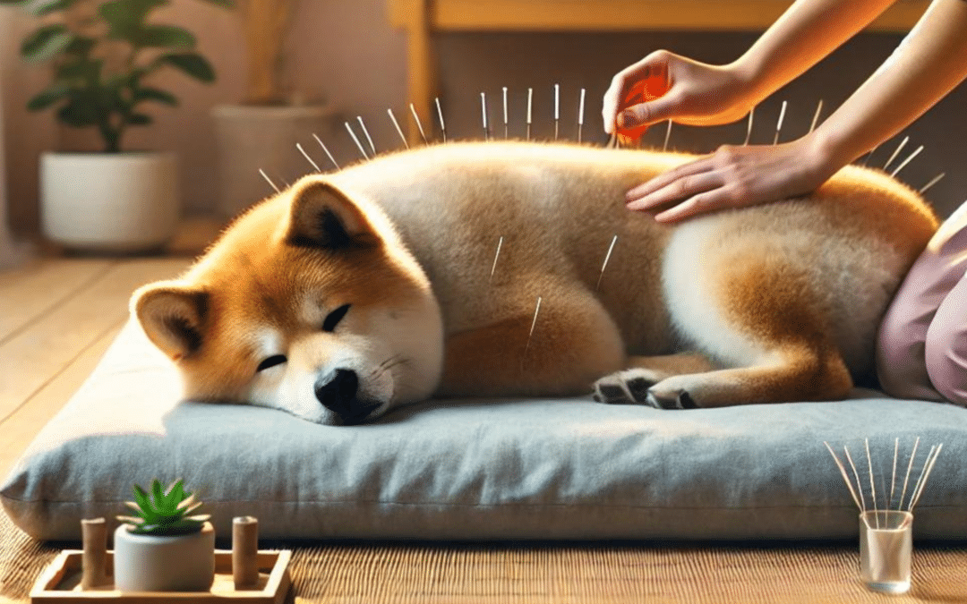 World Animal Day: Discover Acupuncture’s Benefits for Animals