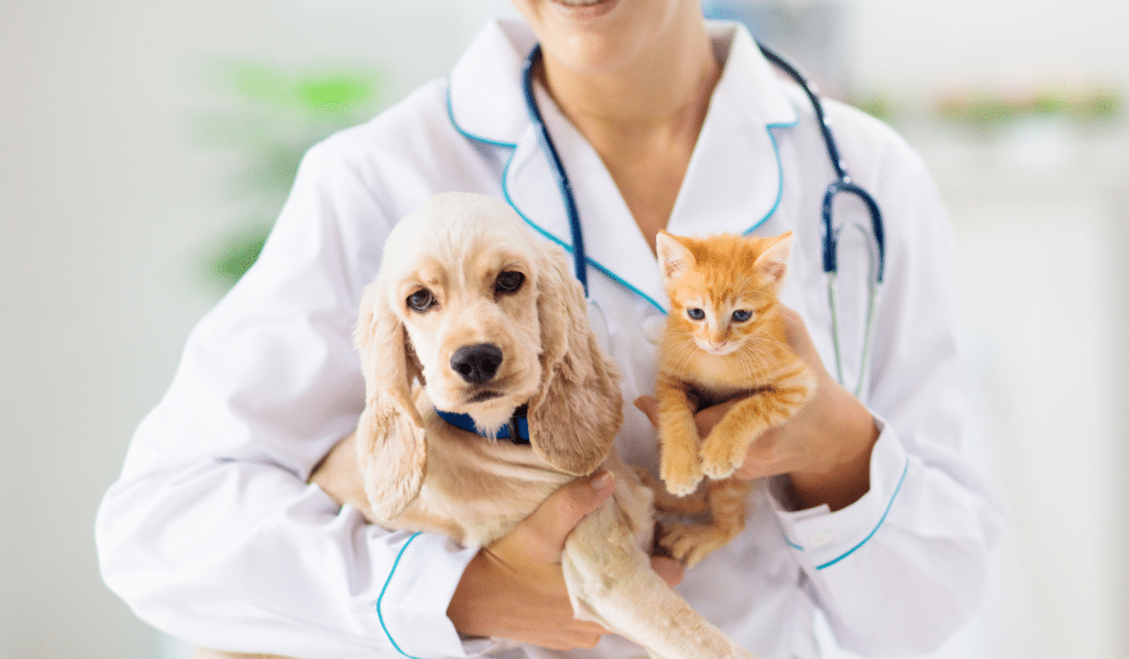 Safety and Considerations: What Pet Owners Should Know | ACA Acupuncture and Wellness