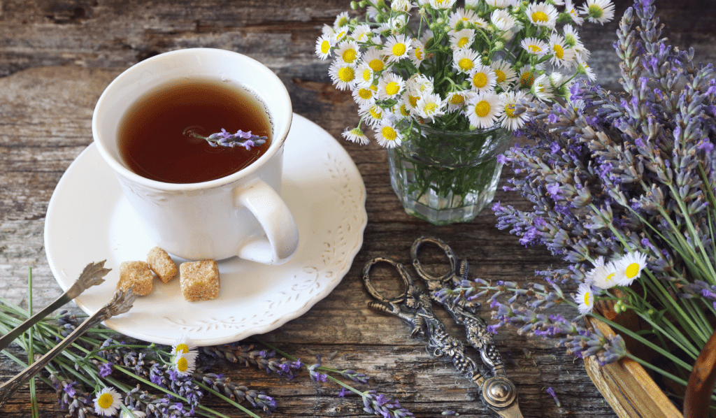 Understanding Side Effects: Choosing the Best Herbs for Energy Safely