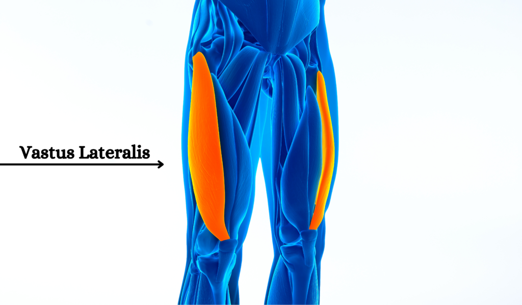 Acupuncture for Vastus Lateralis Pain