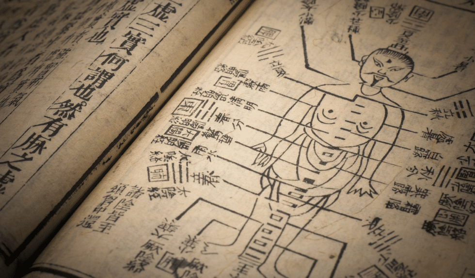 History and Origins of Traditional Chinese Medicine