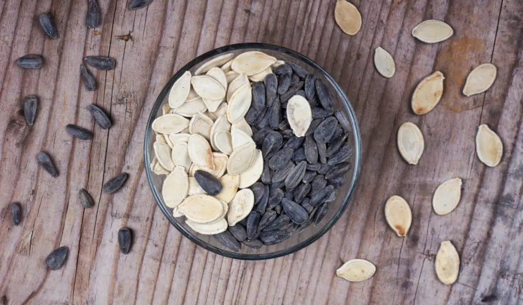 The Origins of Traditional Chinese Medicine
