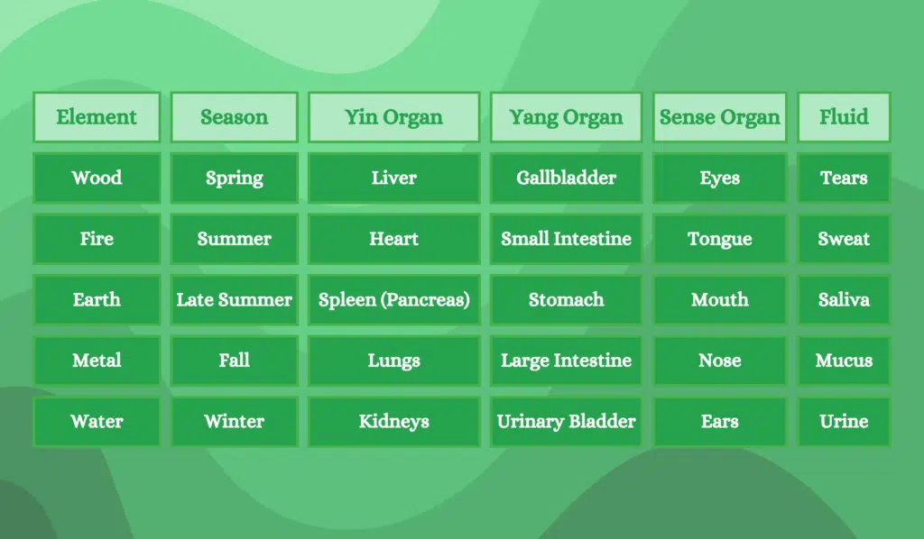 specific organs and physiological functions