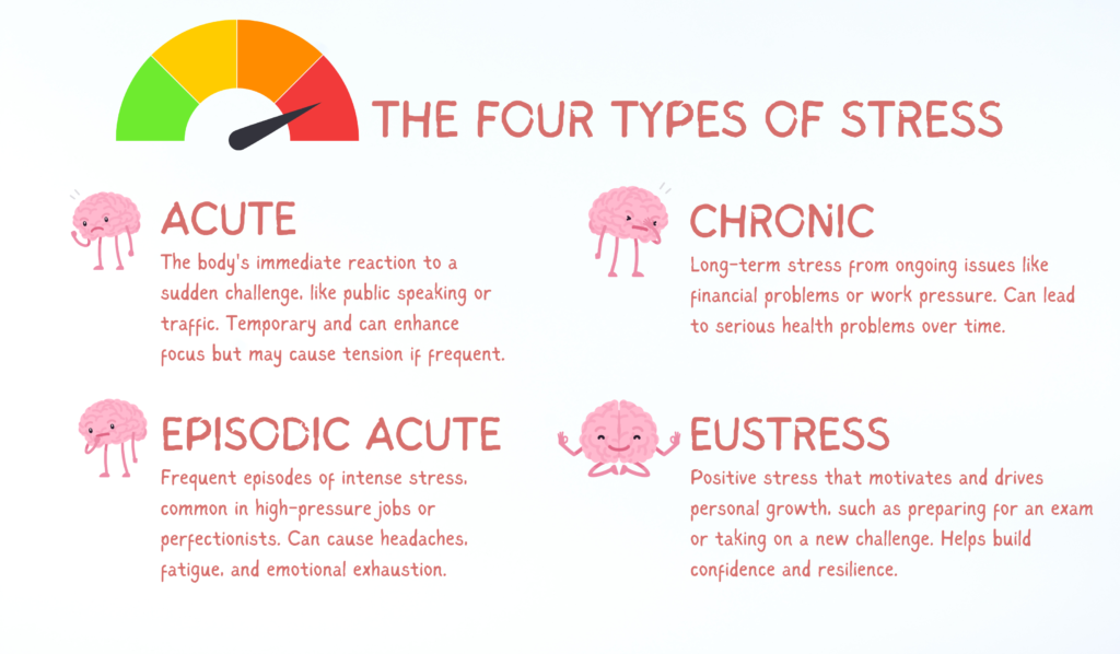 The Four Types of Stress