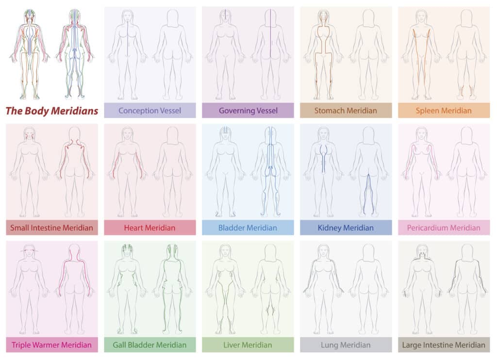Body Meridians Chart Woman Colors