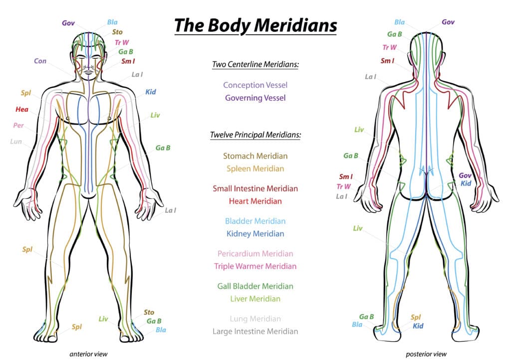 Meridian System Description Chart Male Body