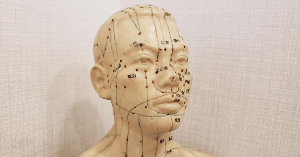 Acupuncture for Memory Loss
