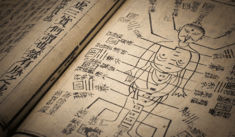 The Five Elements: What Science Has to Say About This Chinese Medicine ...