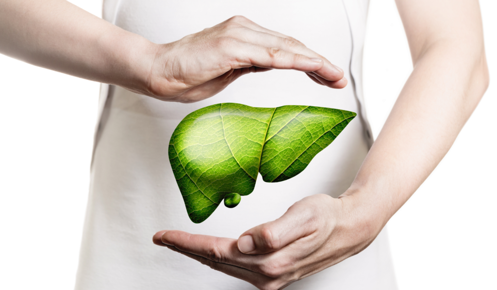 The Vital Role of Liver Qi in Traditional Chinese Medicine