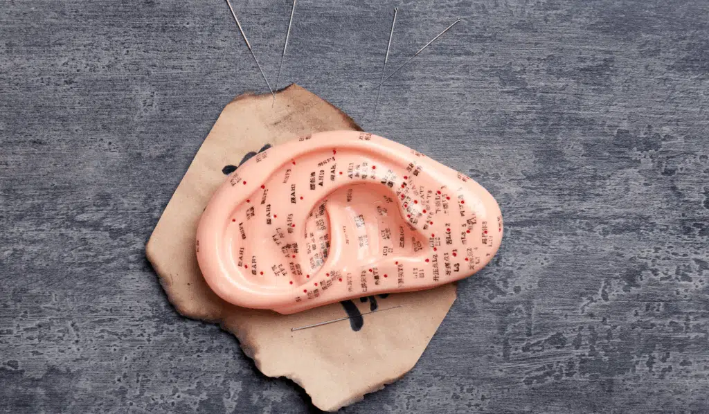 Key Auricular Acupuncture Points and What They Influence