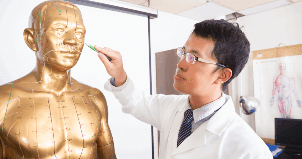 foundations-of-traditional-chinese-medicine-the-mindbody-connection