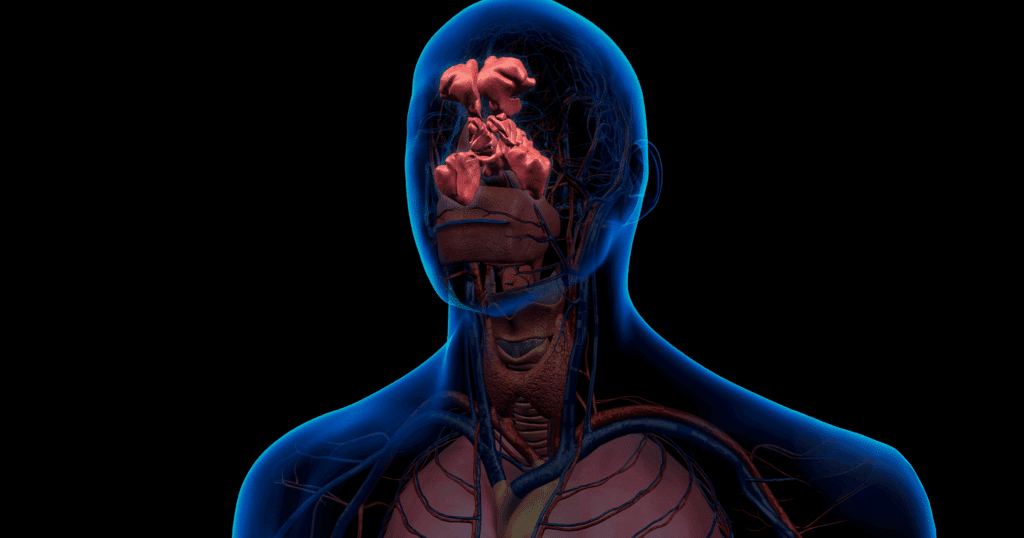understanding-sinus-problems