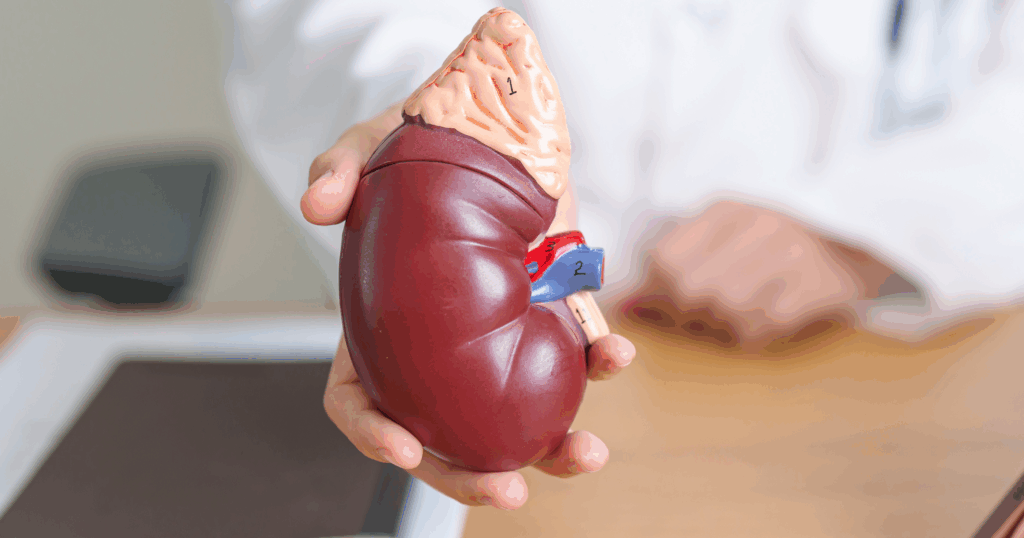 Chinese Medicine for Kidney Stones_ Natural Ways to Ease Pain and Prevent Recurrence