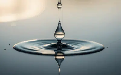 TCM Water Element Guide: Personality Traits, Best Foods, and Signs of Imbalance