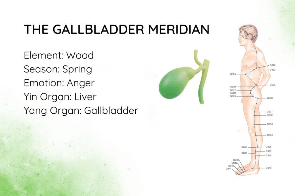 The Gallbladder Meridian In TCM