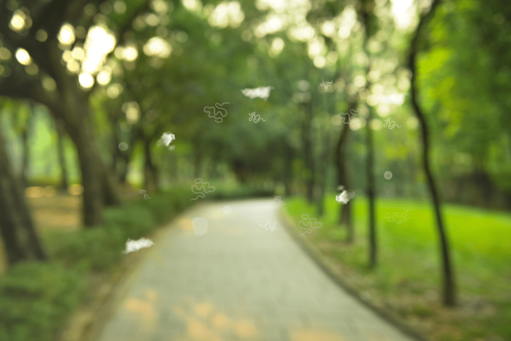 Understanding Eye Floaters and Blurry Vision