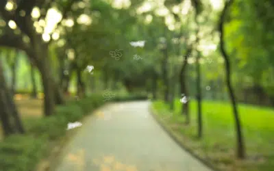 Understanding Eye Floaters and Blurry Vision Through the TCM Liver and Kidney System