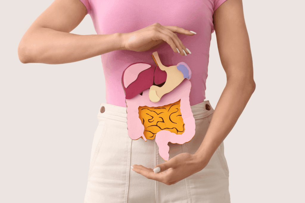 Illustration showing digestive and reproductive organs associated with SP6 acupuncture