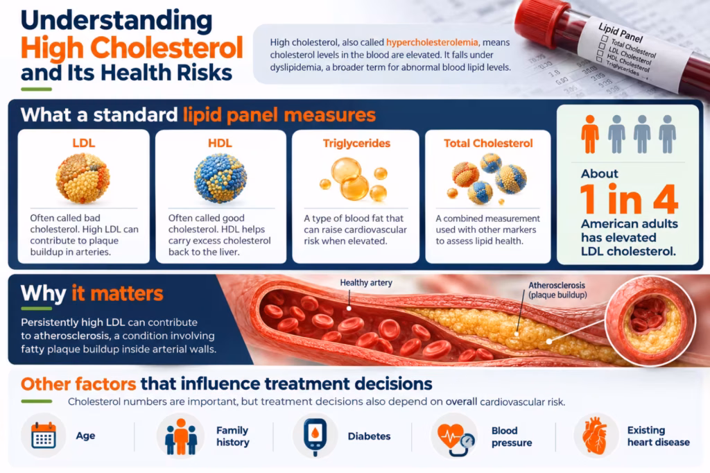Medical infographic explaining LDL, HDL, triglycerides, and the cardiovascular risks associated with high cholesterol_converted